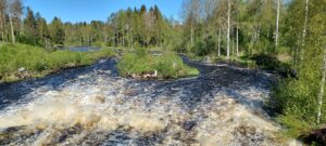 Näkymä Björkforsin ohijuoksutusuomalta Saloön länsipuolella 28.5.2021. / Vy över Björkfors översvämningskanal, väster om Saloön 28.05.2021.