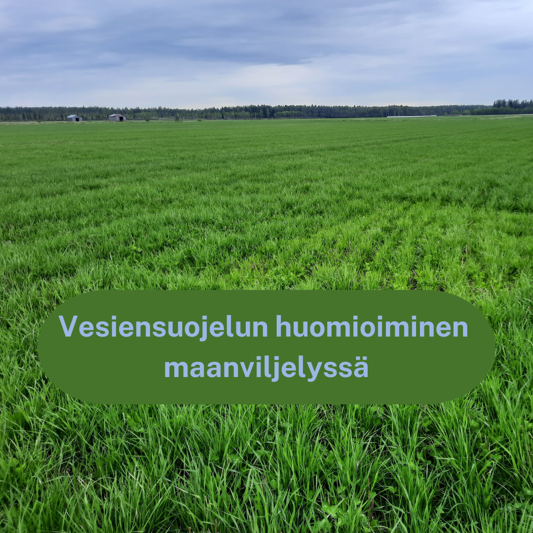 Read more about the article Suomen Vesiensuojelun Keskusliitto julkaisi kannanoton vesiensuojelun huomioimisesta maanviljelyssä