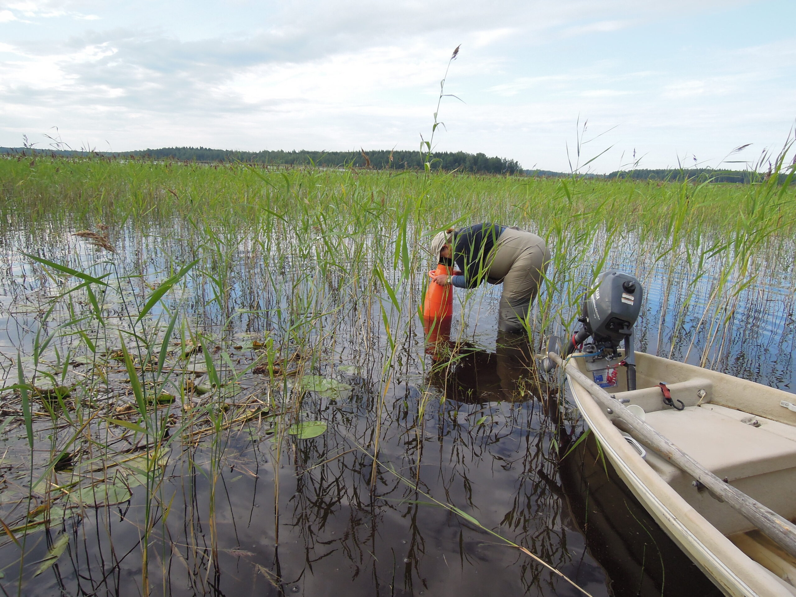 You are currently viewing Larsmo-Öjasjöns vattenvegetation kartlades i juli