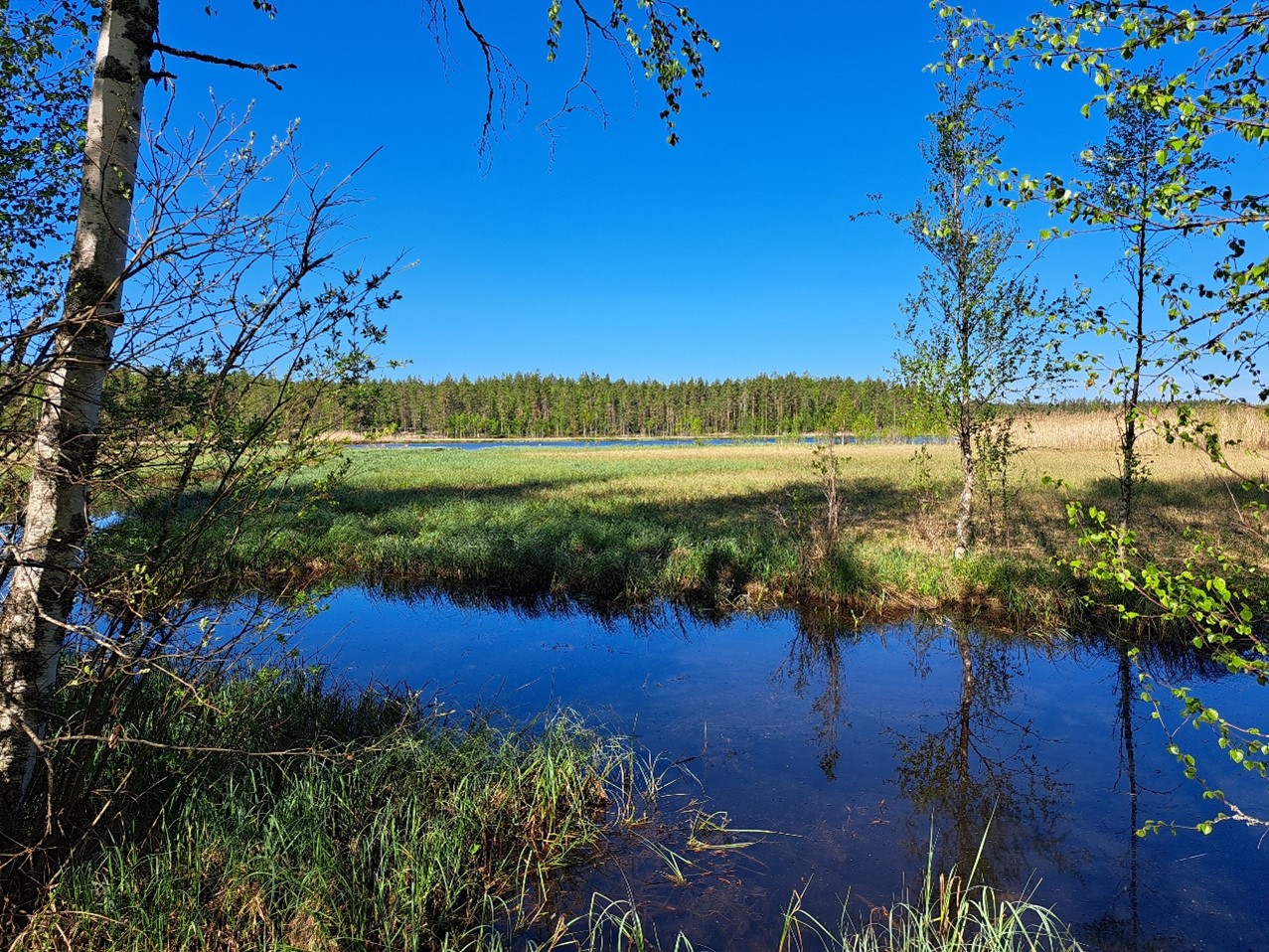 You are currently viewing Södra Edesjärvi mår bättre