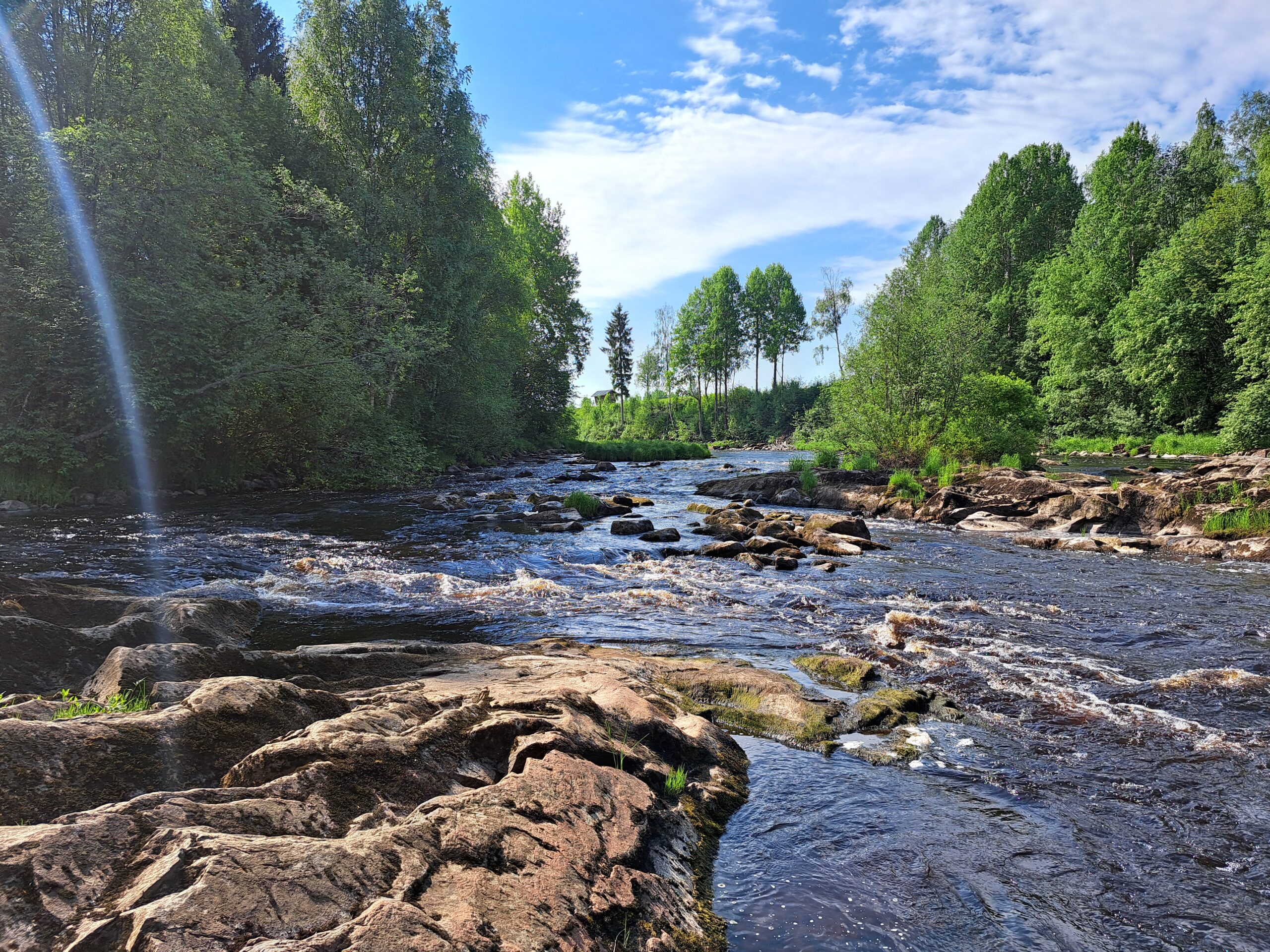 Read more about the article YLE Österbotten haastatteli Heli Jutilaa