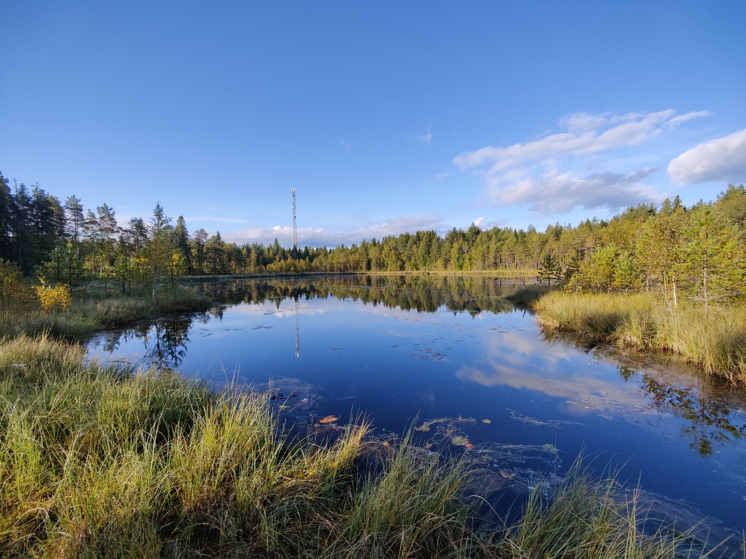 Read more about the article Luontoinventointi Skalasträsket-järvellä Kruunupyyssä