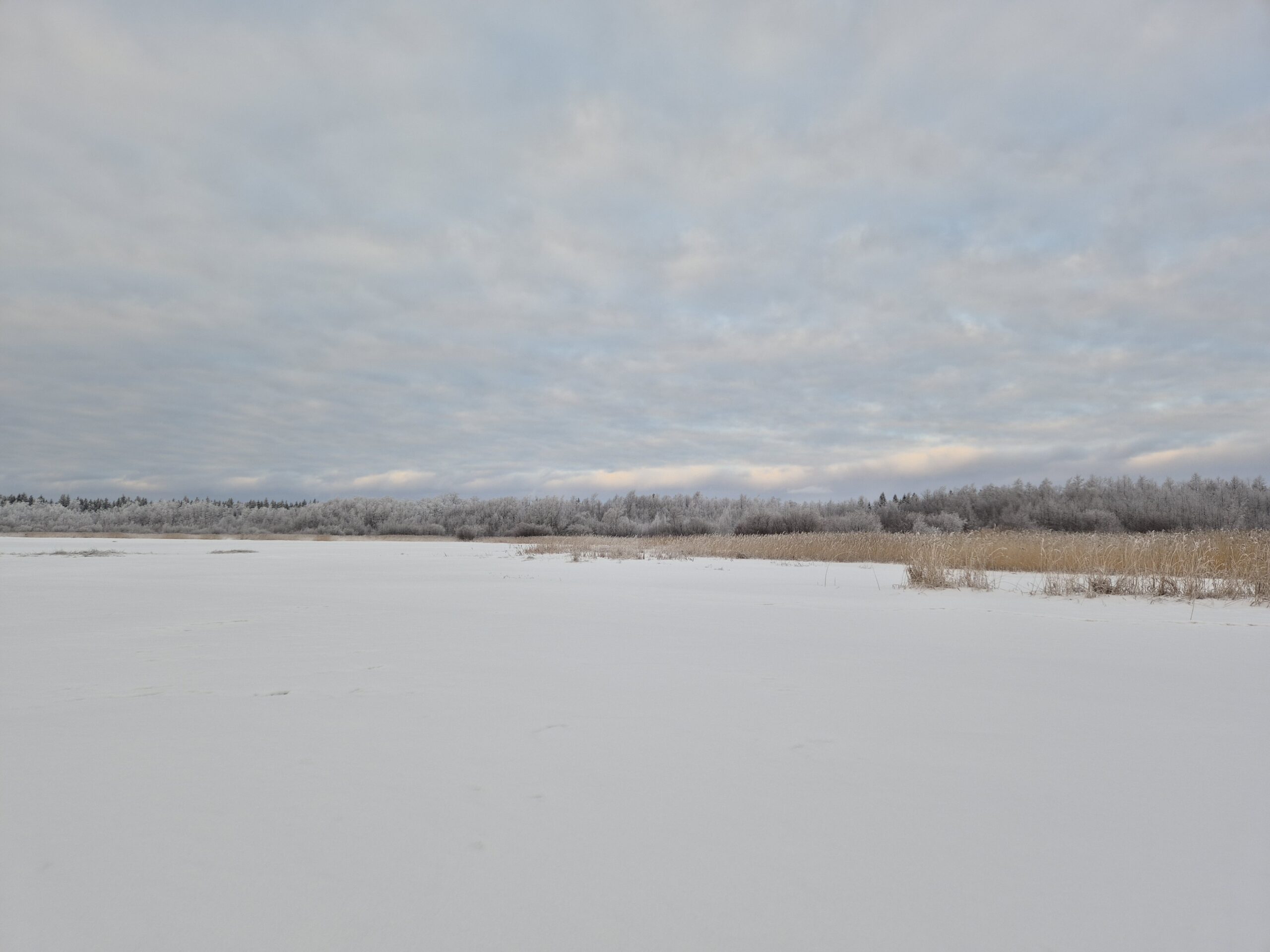 You are currently viewing Vesiviesti-hankkeen ja Rannikko-Pohjanmaan vesistökunnostusverkoston vesistöilta Uudessakaarlepyyssä