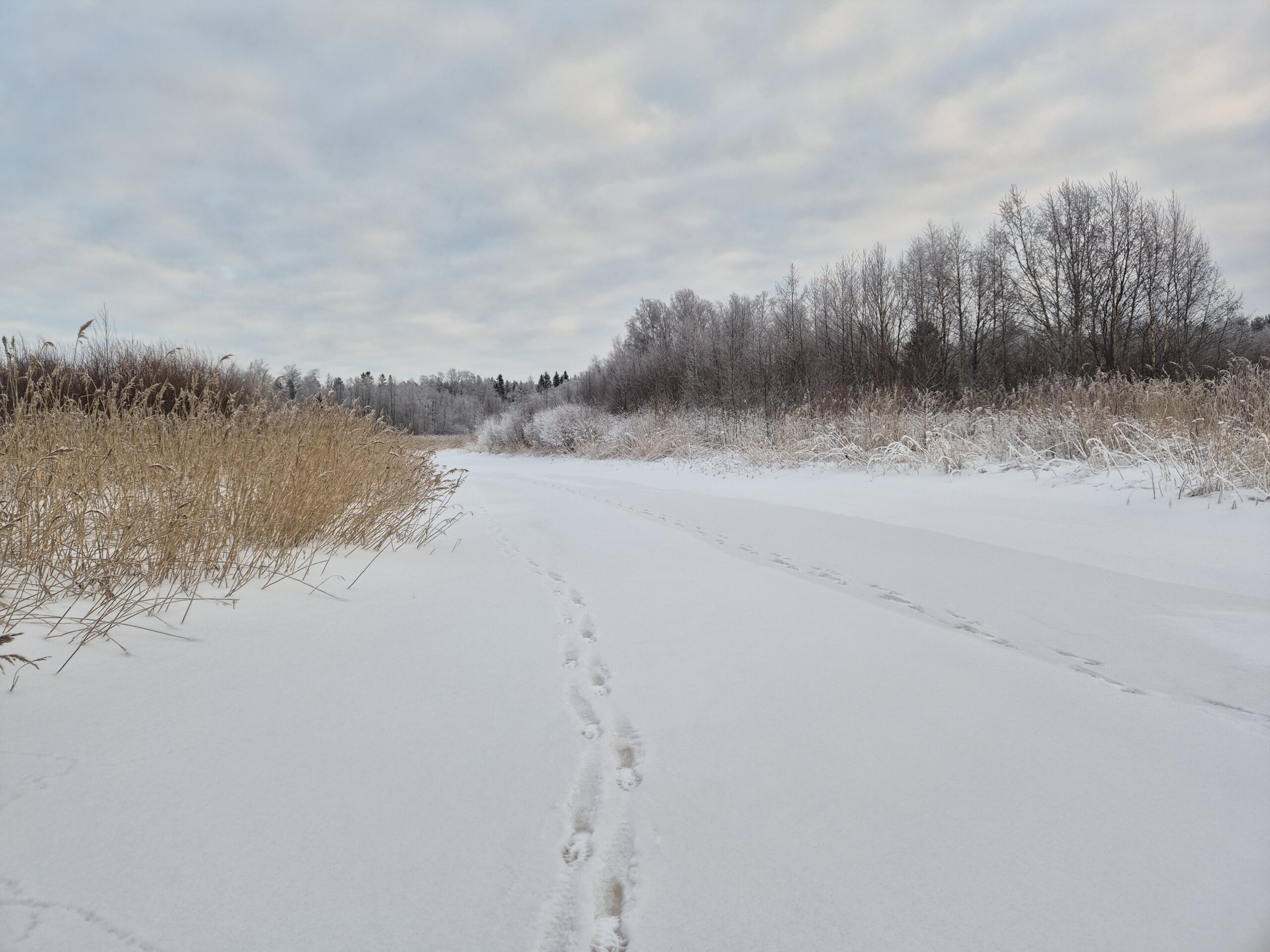 You are currently viewing Vesistöilta 17.2.2026