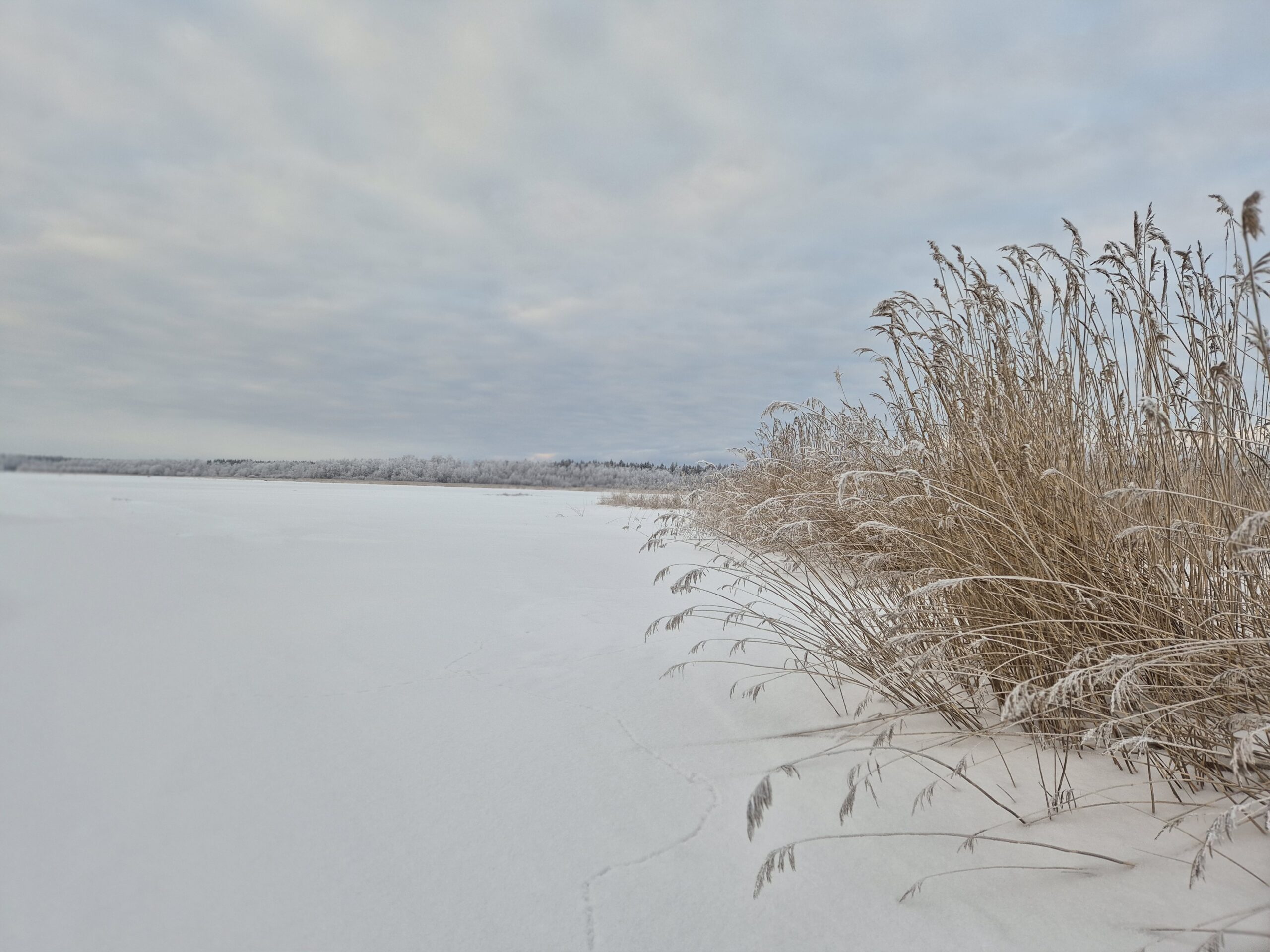 You are currently viewing Vesien- ja ympäristönsuojelua edistävät hankkeet