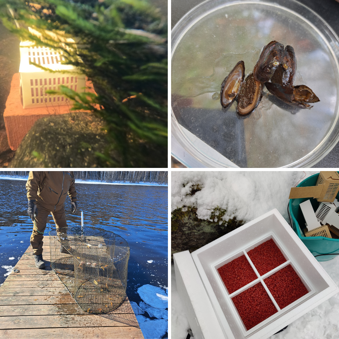 You are currently viewing Kiitos yhteistyöstä kalastuskunnat!