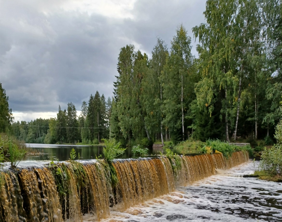 You are currently viewing Kyrönjoen yhteistarkkailun tulokset 2025