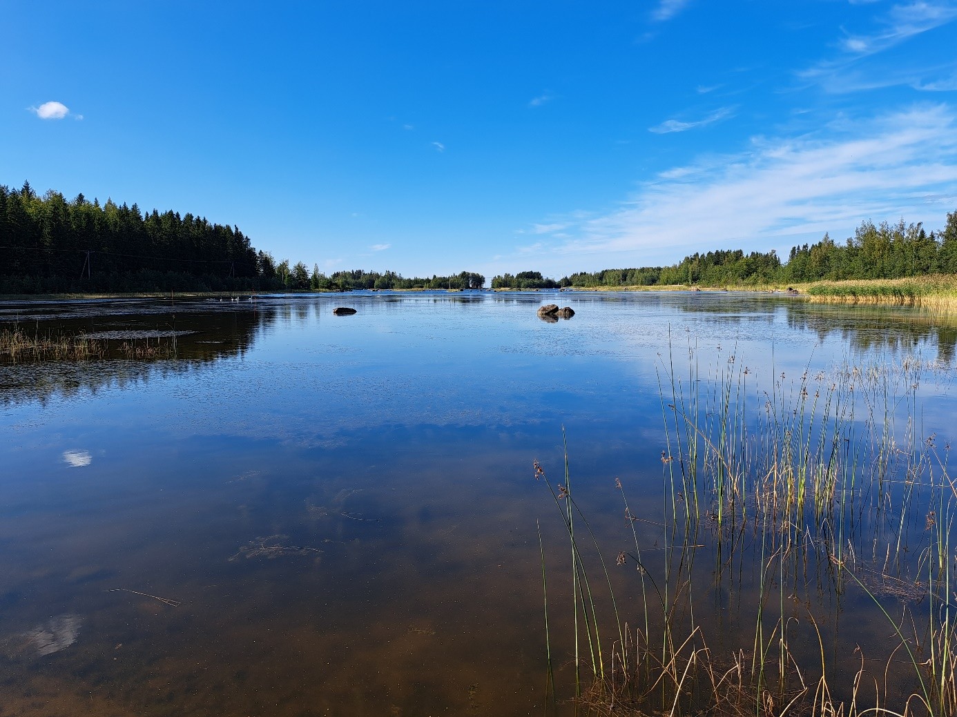 You are currently viewing Merialueiden yhteistarkkailut Kokkolan ja Pietarsaaren edustoilla. Osa 4: Kasviplanktonseuranta