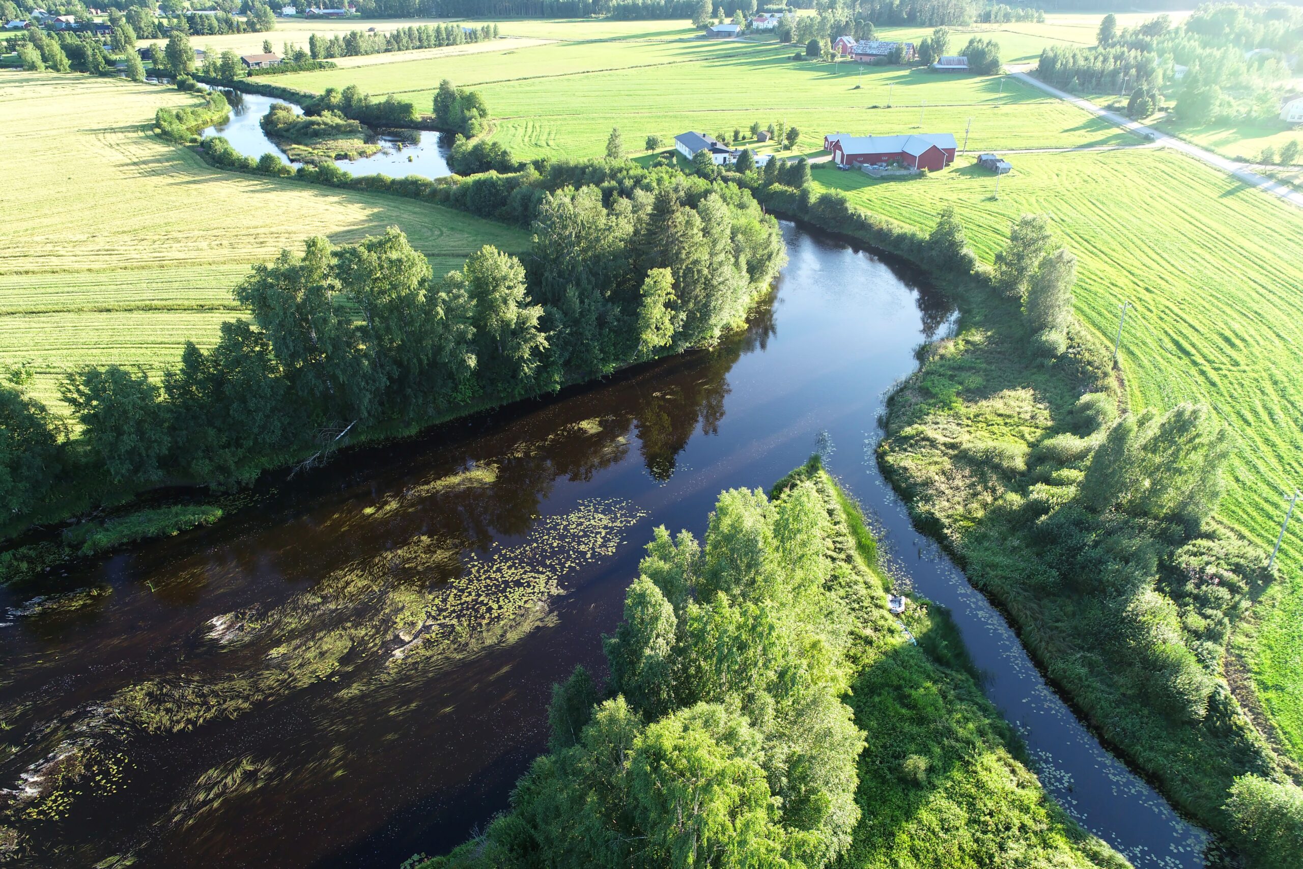 Read more about the article Ähtävänjoen raakkukartoitukset kesällä 2026