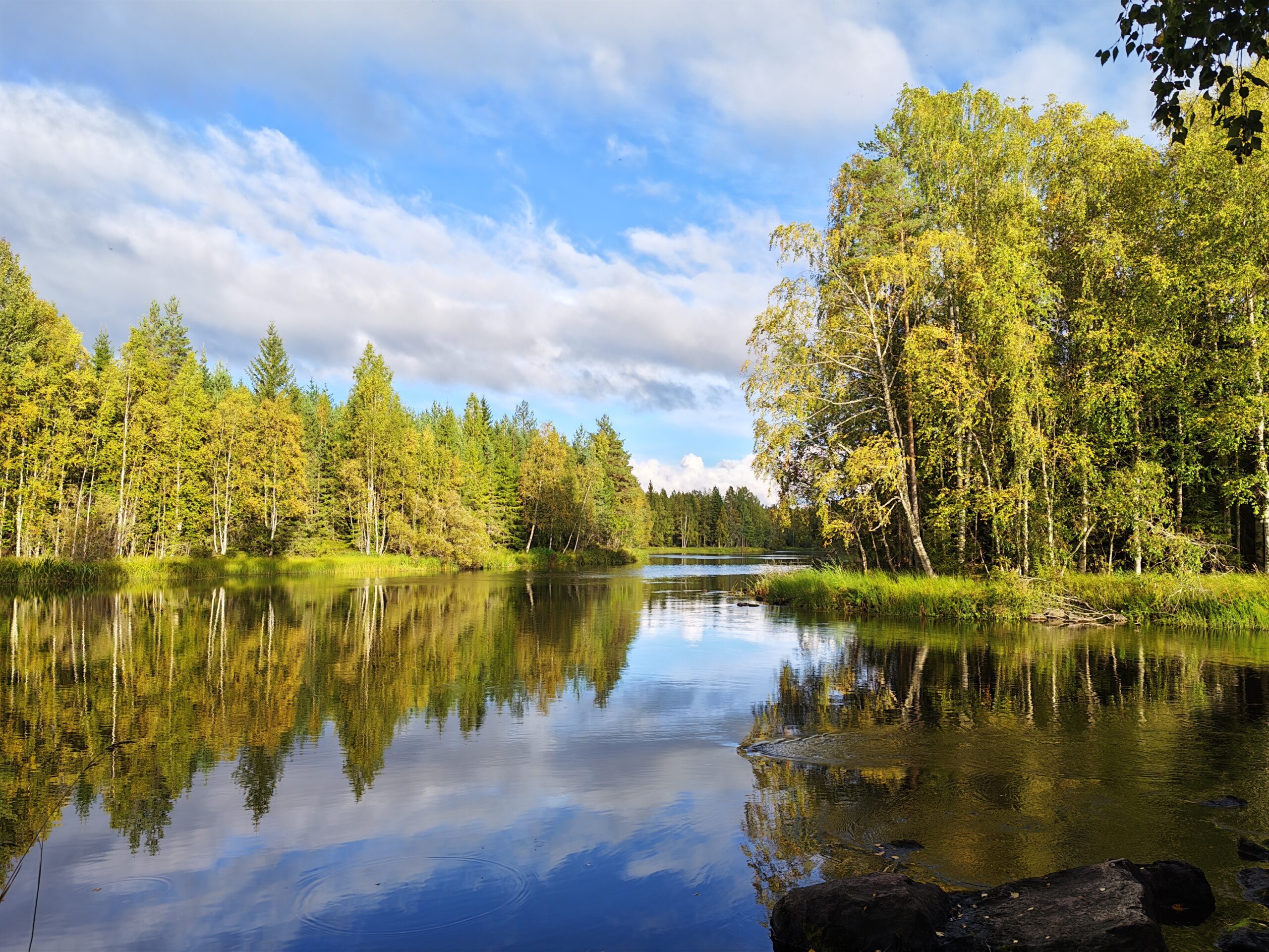 Read more about the article Luontoretki